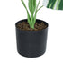 GloboStar® Artificial Garden BANANA ZEBRA 20918 Διακοσμητικό Φυτό Μπανανιά Ζέβρα Υ80cm - ledmania.gr
