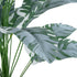 GloboStar® Artificial Garden BANANA ZEBRA 20919 Διακοσμητικό Φυτό Μπανανιά Ζέβρα Υ80cm - ledmania.gr