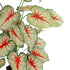 GloboStar® Artificial Garden CALADIUM 20921 Διακοσμητικό Φυτό Καλάντιουμ Υ80cm - ledmania.gr
