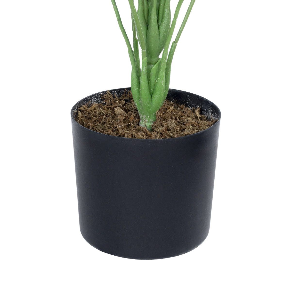 GloboStar® Artificial Garden CALATHEA 20922 Διακοσμητικό Φυτό Καλαθέα Υ80cm - ledmania.gr