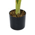 GloboStar® Artificial Garden CALATHEA 20940 Διακοσμητικό Φυτό Καλαθέα Υ90cm - ledmania.gr