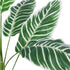 GloboStar® Artificial Garden WHITE ZEBRA 20943 Τεχνητό Διακοσμητικό Φυτό Λευκή Ζέβρα Υ90cm - ledmania.gr
