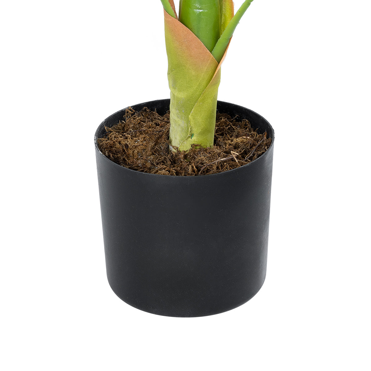 GloboStar® Artificial Garden BLOOD BANANA 20944 Διακοσμητικό Φυτό Αιματόφυλλη Μπανανιά Υ90cm - ledmania.gr