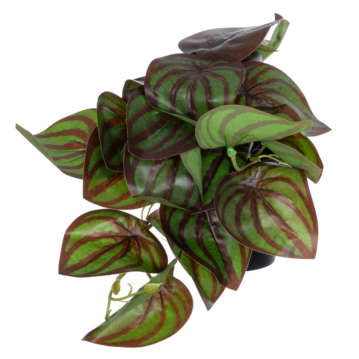 GloboStar® Artificial Garden BROWN PEPEROMIA PLANT 20952 Διακοσμητικό Φυτό Καφέ Πεπερόμια Φ23 x Υ16cm - ledmania.gr