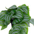 GloboStar® Artificial Garden STRAWBERRY PLANT 20953 Διακοσμητικό Φυτό Φράουλα Φ23 x Υ16cm - ledmania.gr