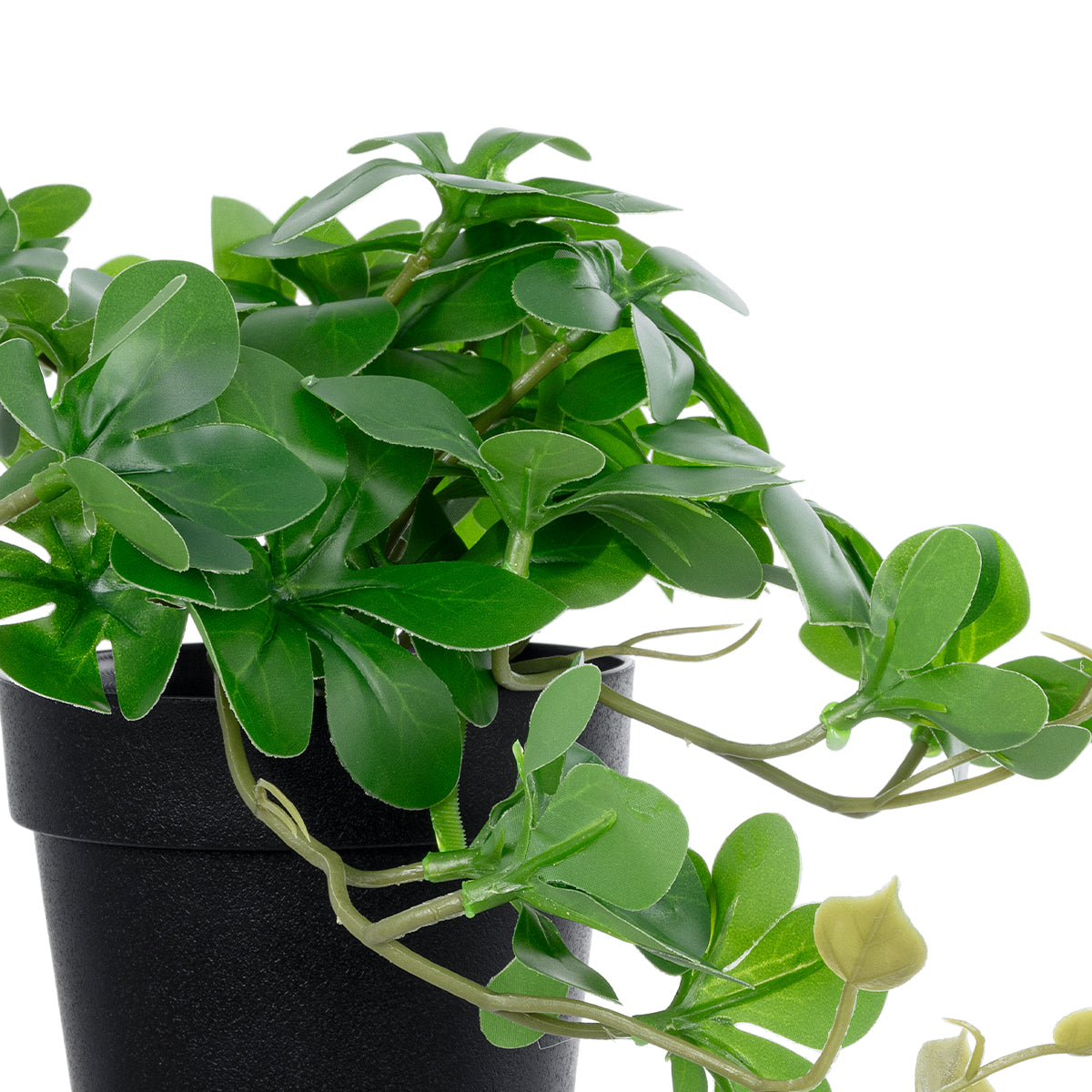 GloboStar® Artificial Garden SCHEFFLERA PLANT 20954 Διακοσμητικό Φυτό Σεφλέρα Φ18 x Υ17cm - ledmania.gr