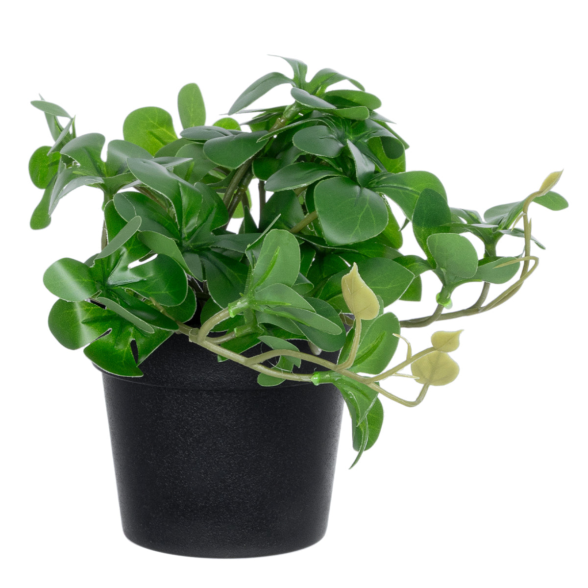 GloboStar® Artificial Garden SCHEFFLERA PLANT 20954 Διακοσμητικό Φυτό Σεφλέρα Φ18 x Υ17cm - ledmania.gr