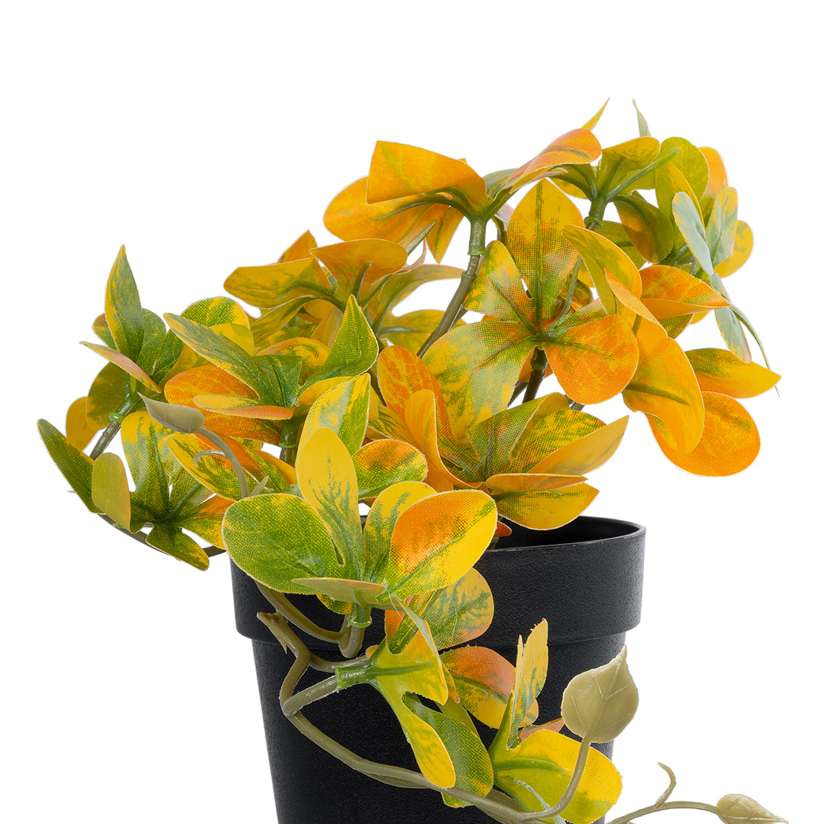 GloboStar® Artificial Garden SCHEFFLERA MIX PLANT 20955 Διακοσμητικό Φυτό Σεφλέρα Φ20 x Υ18cm - ledmania.gr
