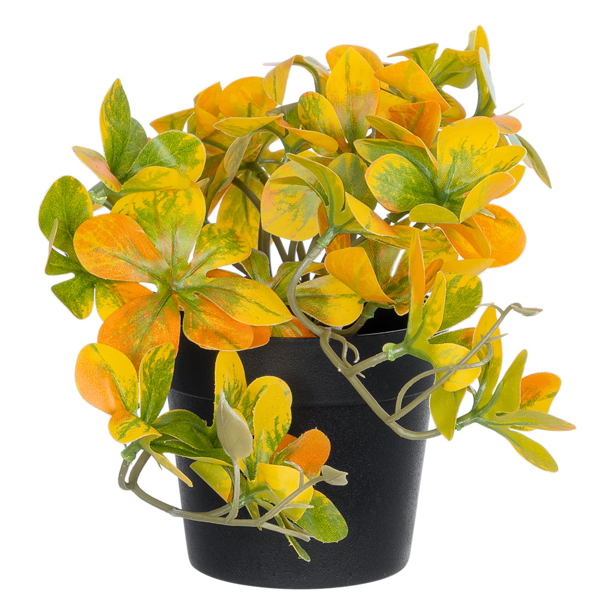 GloboStar® Artificial Garden SCHEFFLERA MIX PLANT 20955 Διακοσμητικό Φυτό Σεφλέρα Φ20 x Υ18cm - ledmania.gr