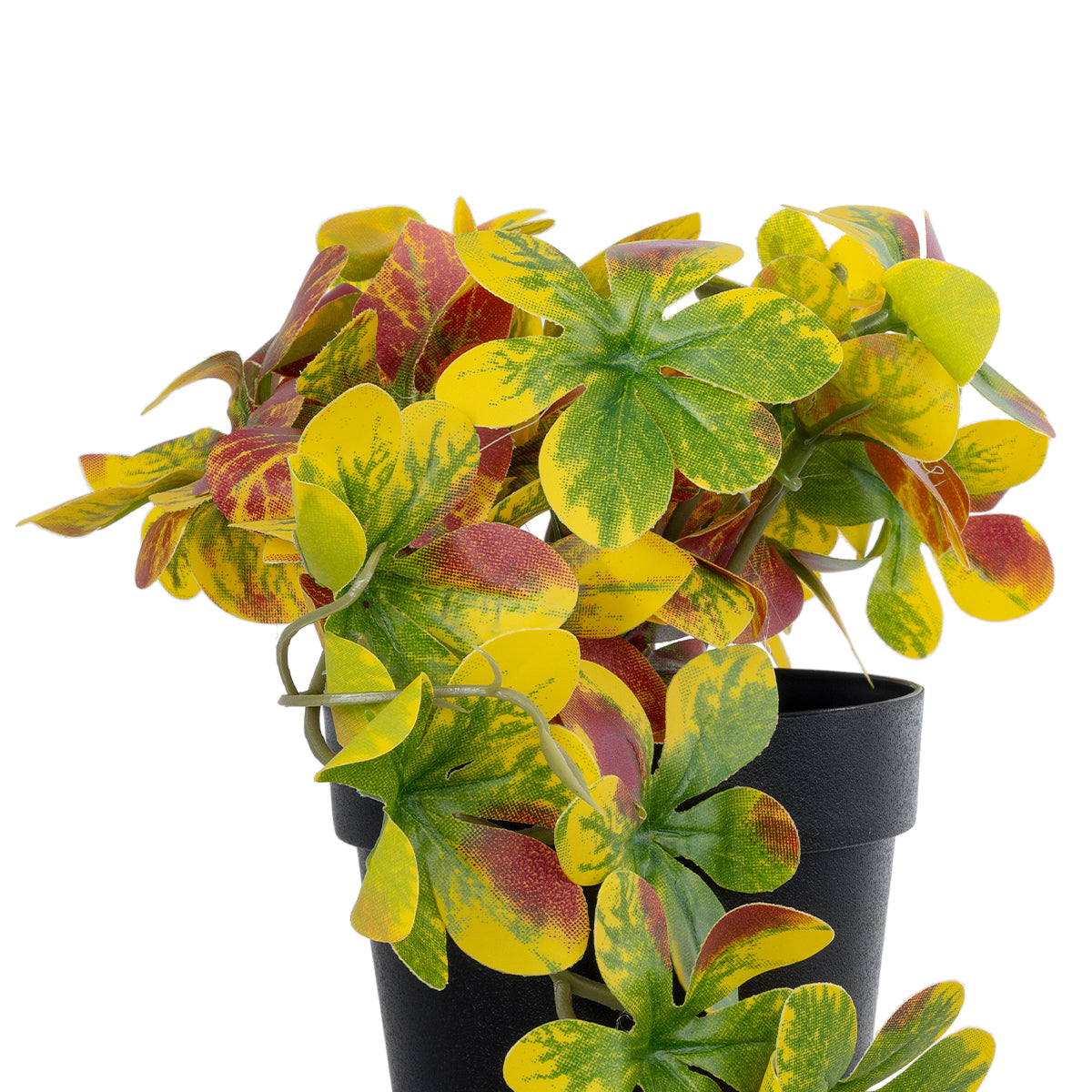 GloboStar® Artificial Garden SCHEFFLERA MIX PLANT 20956 Διακοσμητικό Φυτό Σεφλέρα Φ20 x Υ18cm - ledmania.gr