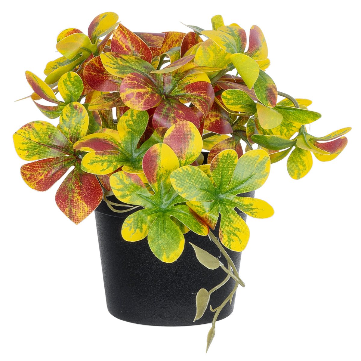 GloboStar® Artificial Garden SCHEFFLERA MIX PLANT 20956 Διακοσμητικό Φυτό Σεφλέρα Φ20 x Υ18cm - ledmania.gr