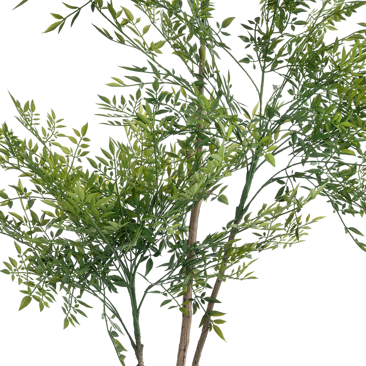 GloboStar® Artificial Garden GREEN NANDINA PLANT 20965 Διακοσμητικό Φυτό Πράσινη Ναντίνα Φ66 x Υ150cm - ledmania.gr