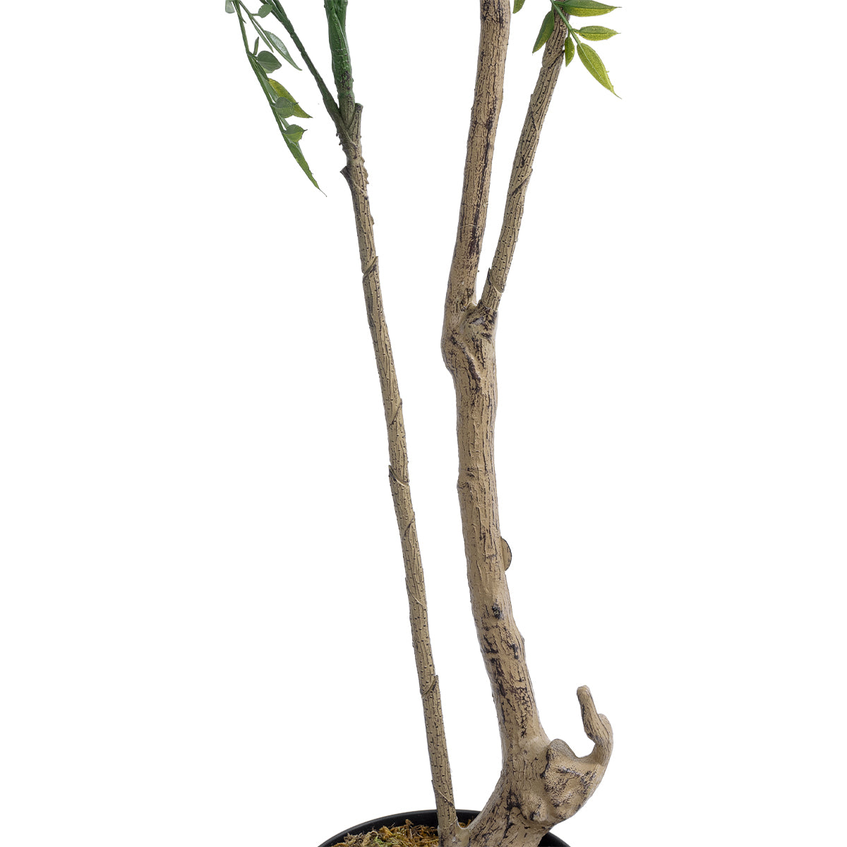 GloboStar® Artificial Garden GREEN NANDINA PLANT 20965 Διακοσμητικό Φυτό Πράσινη Ναντίνα Φ66 x Υ150cm - ledmania.gr