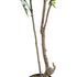 GloboStar® Artificial Garden GREEN NANDINA PLANT 20965 Διακοσμητικό Φυτό Πράσινη Ναντίνα Φ66 x Υ150cm - ledmania.gr