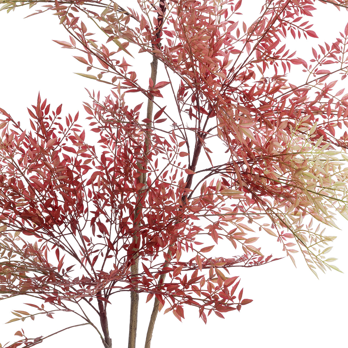 GloboStar® Artificial Garden RED NANDINA PLANT 20966 Διακοσμητικό Φυτό Κόκκινη Ναντίνα Φ66 x Υ150cm - ledmania.gr