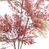 GloboStar® Artificial Garden RED NANDINA PLANT 20966 Διακοσμητικό Φυτό Κόκκινη Ναντίνα Φ66 x Υ150cm - ledmania.gr