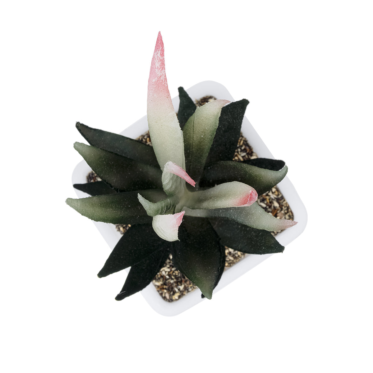 GloboStar® Artificial Garden SUCCULENT ALOE POTTED PLANT 20974 Διακοσμητικό Φυτό Αλόης Φ7 x Υ14cm - ledmania.gr