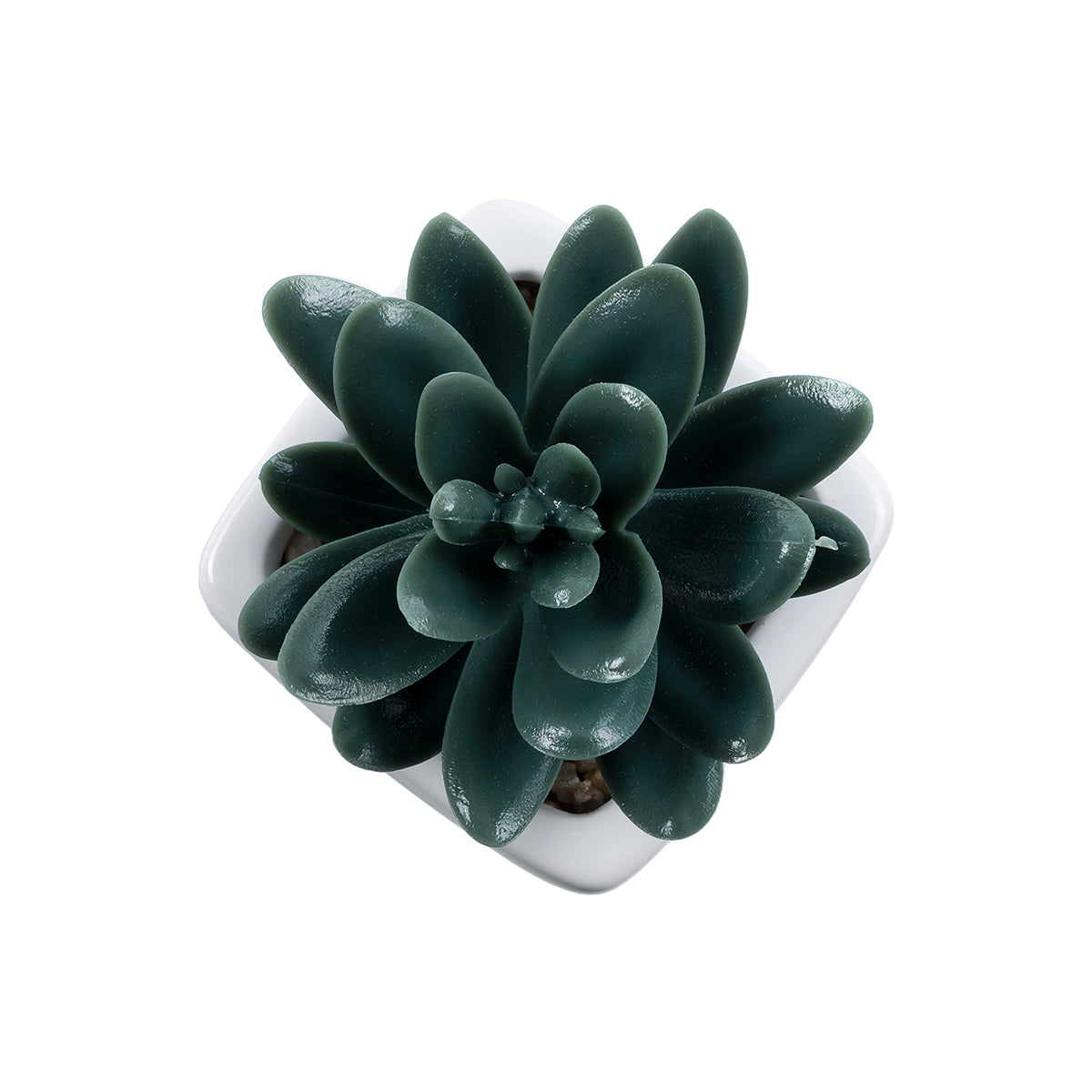 GloboStar® Artificial Garden SUCCULENT SEDEVERIA 20977 Διακοσμητικό Φυτό Παχύφυτο Σεντεβέρια Υ9cm - ledmania.gr