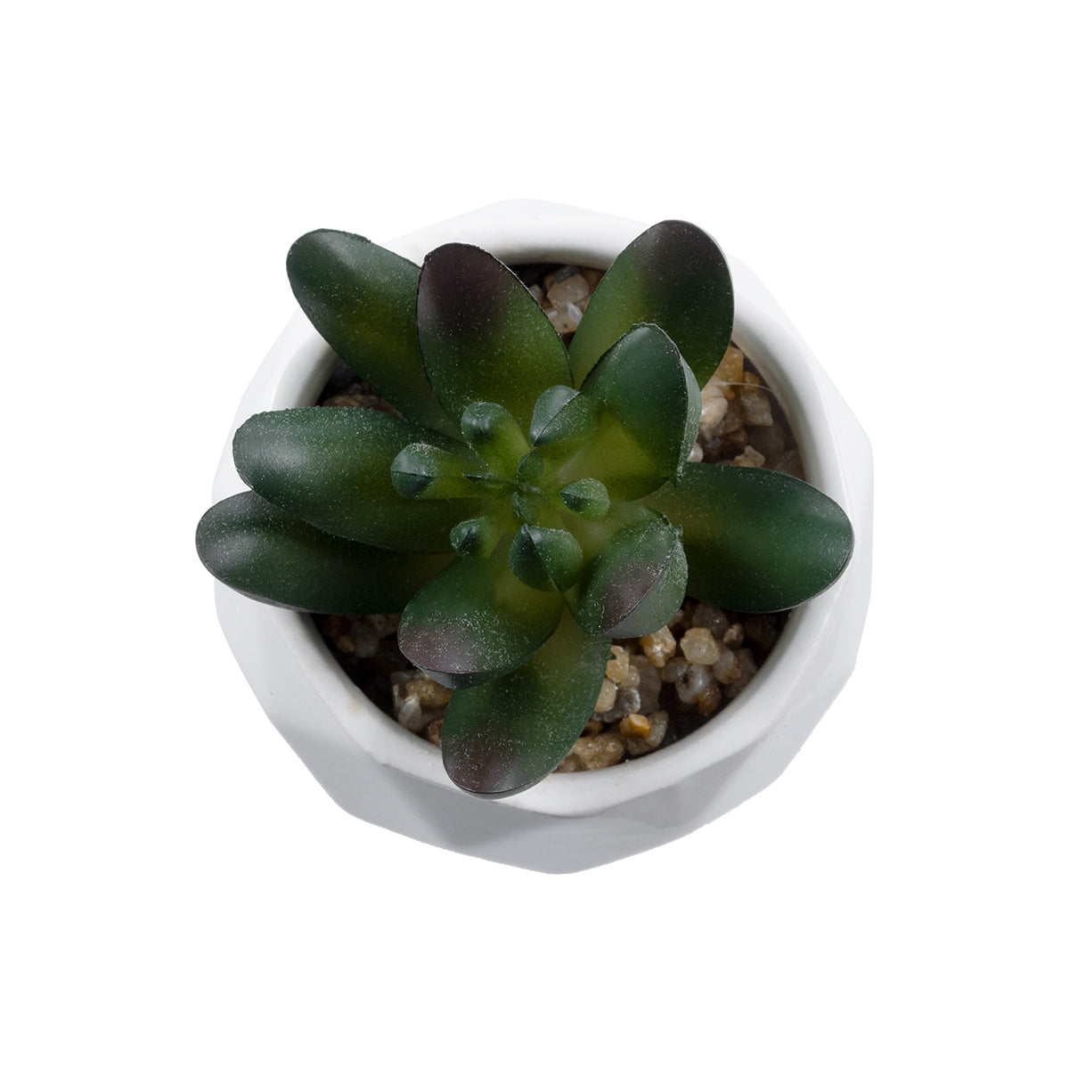 GloboStar® Artificial Garden SUCCULENT CRASSULA 20979 Διακοσμητικό Φυτό Παχύφυτο Κράσουλα Υ9cm - ledmania.gr