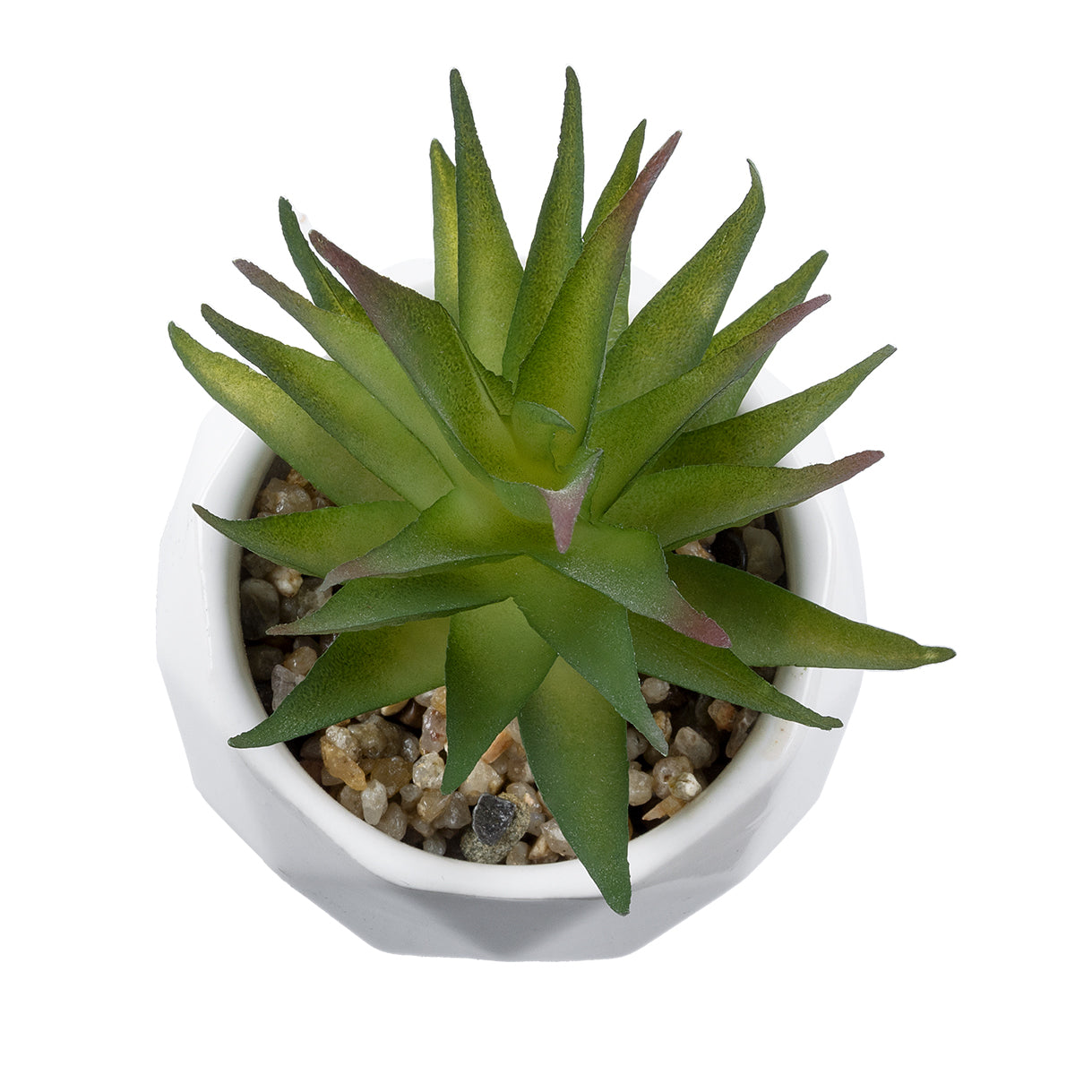GloboStar® Artificial Garden SUCCULENT ALOE 20982 Διακοσμητικό Φυτό Παχύφυτο Αλόη Υ11cm - ledmania.gr
