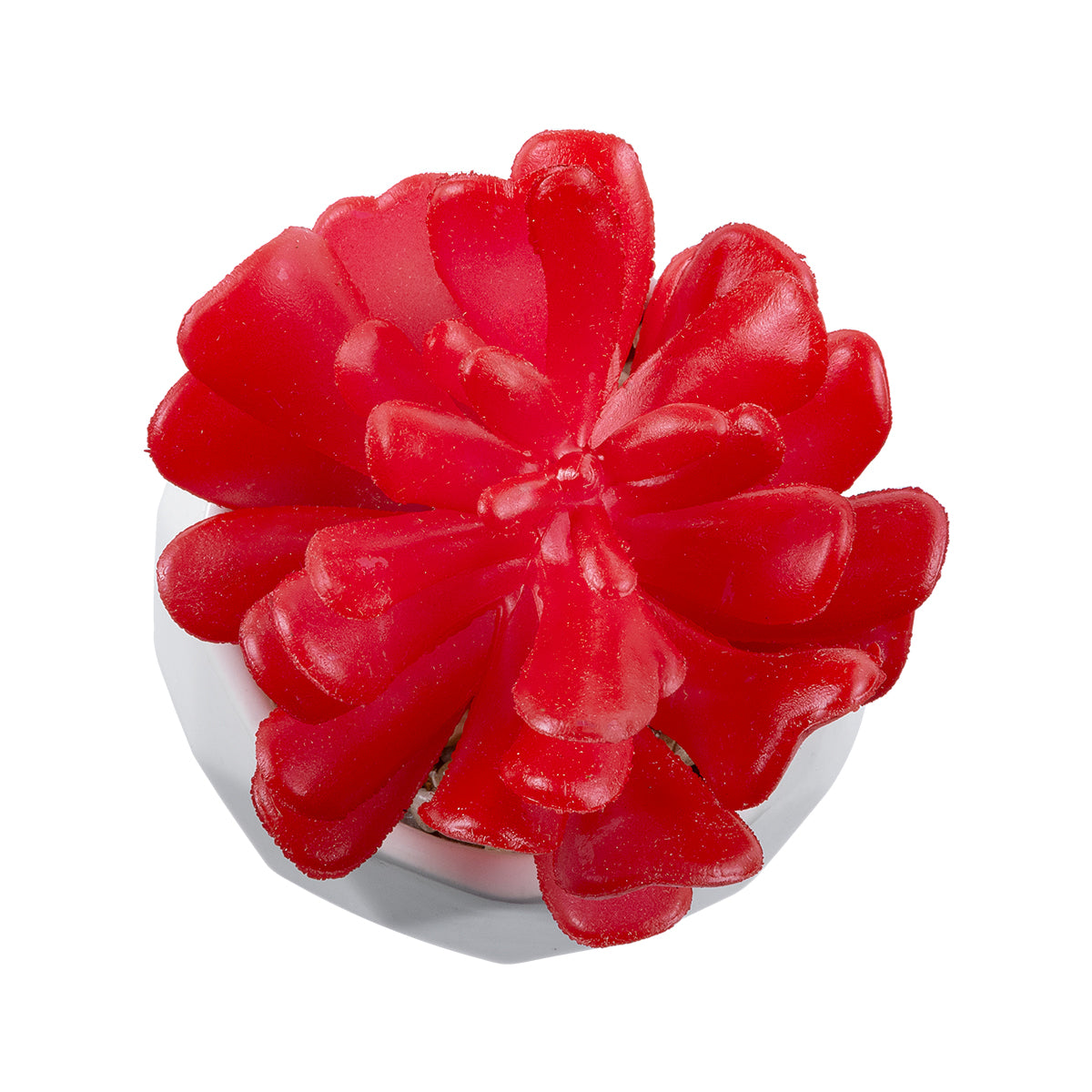 GloboStar® Artificial Garden SUCCULENT CRASSULA 20985 Διακοσμητικό Φυτό Παχύφυτο Κράσουλα Υ10cm - ledmania.gr