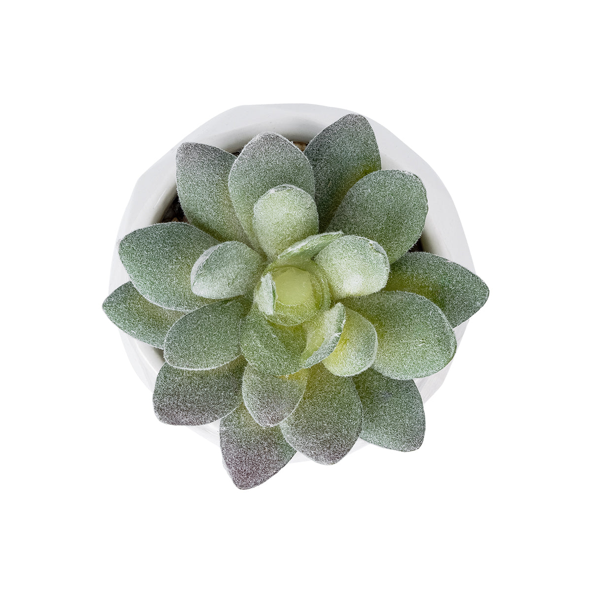 GloboStar® Artificial Garden SUCCULENT SEDEVERIA POTTED PLANT 20987 Διακοσμητικό Φυτό Σεδεβέρια Φ7 x Υ7,5cm - ledmania.gr