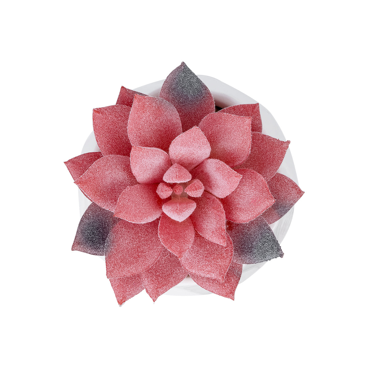 GloboStar® Artificial Garden SUCCULENT SEDEVERIA POTTED PLANT 20989 Διακοσμητικό Φυτό Σεδεβέρια Φ6,5 x Υ8cm - ledmania.gr