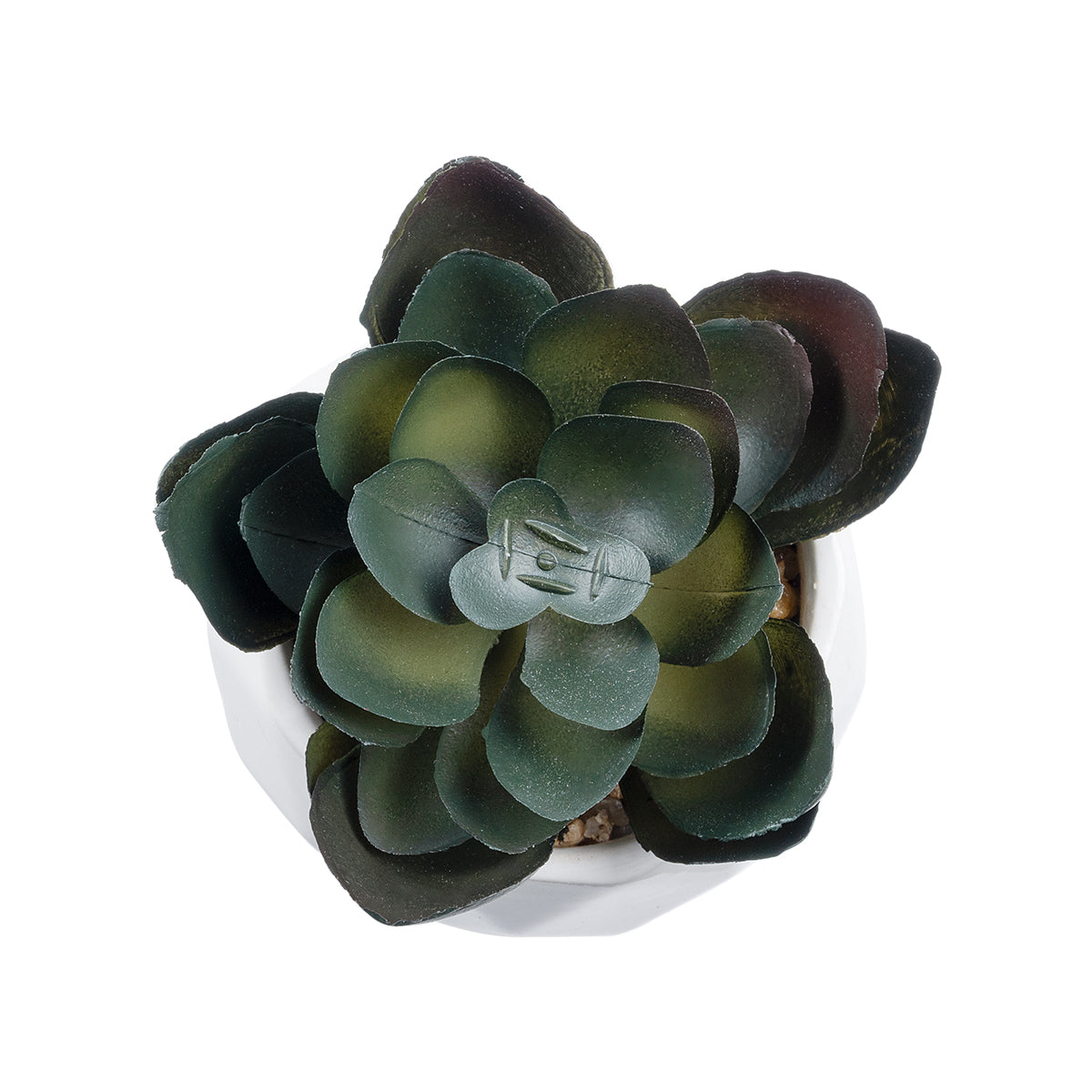 GloboStar® Artificial Garden SUCCULENT ECHEVERIA 20990 Διακοσμητικό Φυτό Παχύφυτο Εχεβέρια Υ8.5cm - ledmania.gr