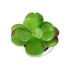 GloboStar® Artificial Garden SUCCULENT KALANCHOE POTTED PLANT 20995 Διακοσμητικό Φυτό Καλαχόη  Φ8 x Υ10cm - ledmania.gr