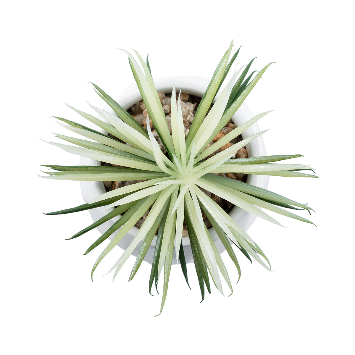 GloboStar® Artificial Garden SUCCULENT SENECIO 20997 Διακοσμητικό Φυτό Παχύφυτο Σενέκιο Υ12cm - ledmania.gr