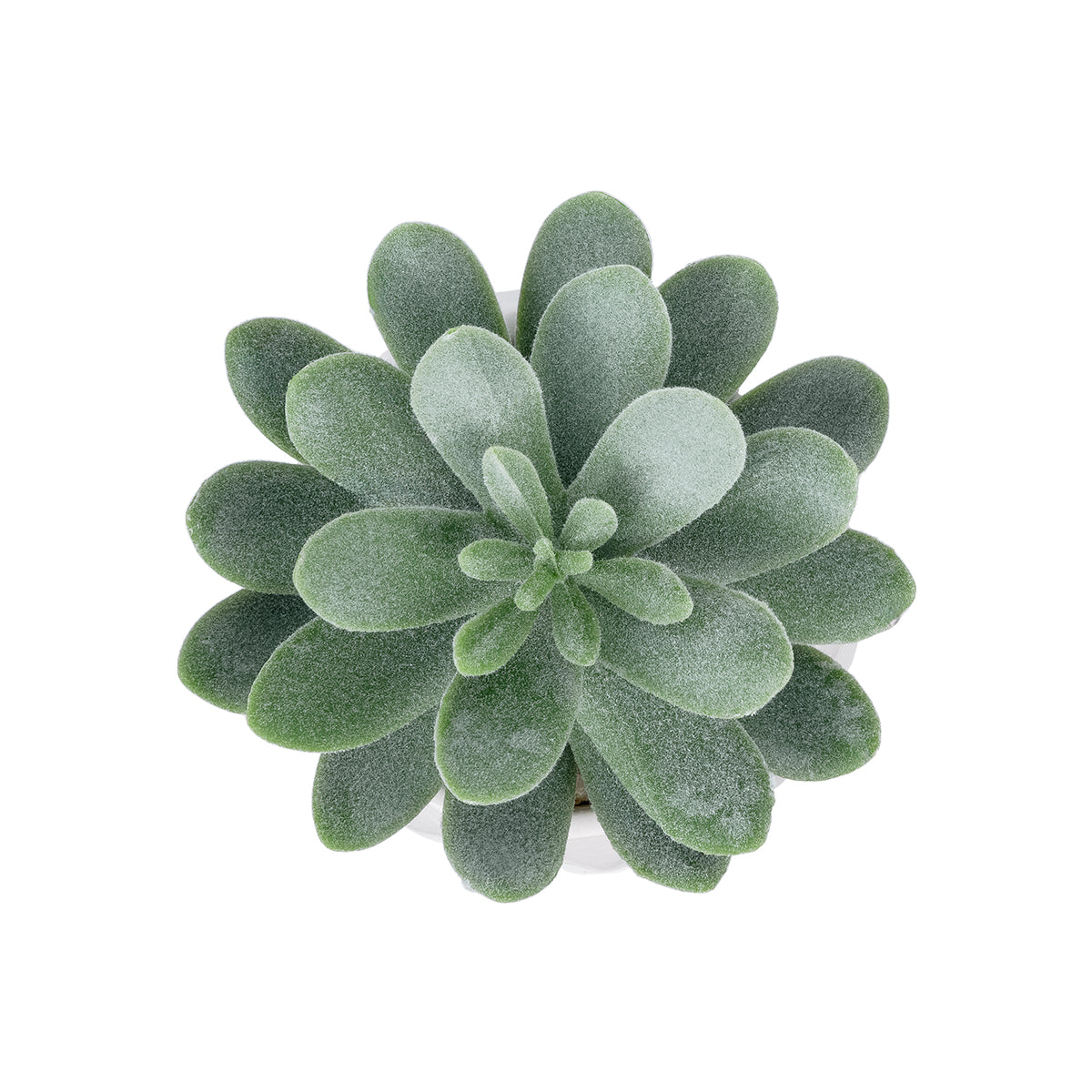 GloboStar® Artificial Garden SUCCULENT SEDEVERIA POTTED PLANT 20998 Διακοσμητικό Φυτό Σεδεβέρια  Φ7 x Υ9cm - ledmania.gr