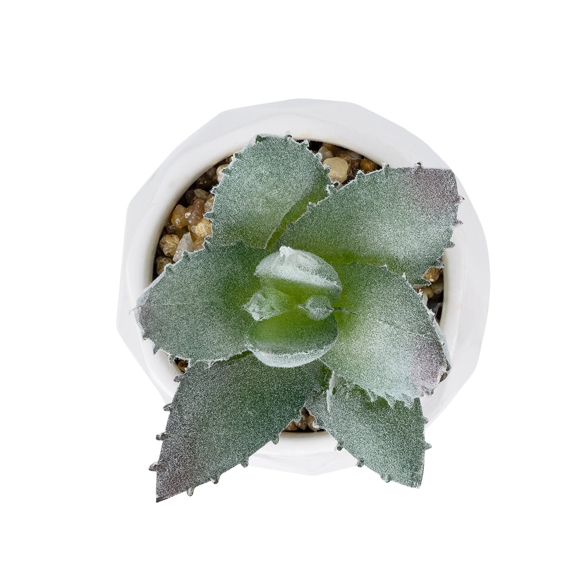 GloboStar® Artificial Garden SUCCULENT ALOE POTTED PLANT 20999 Διακοσμητικό Φυτό Αλόη  Φ7 x Υ9cm - ledmania.gr