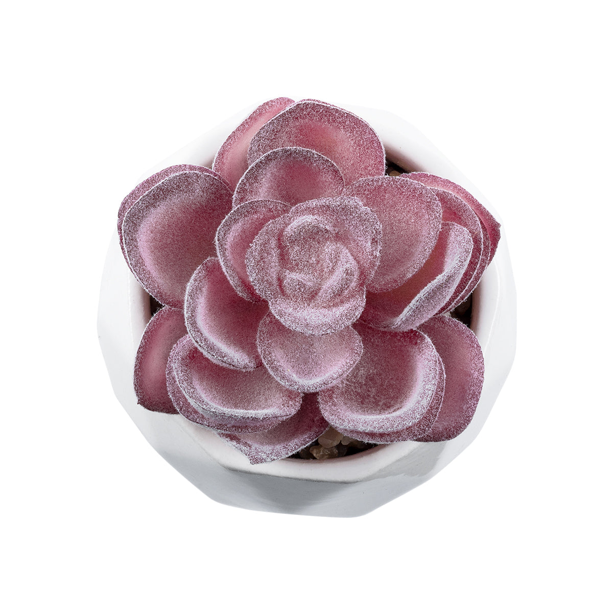 GloboStar® Artificial Garden SUCCULENT ECHEVERIA 21000 Διακοσμητικό Φυτό Παχύφυτο Εχεβέρια Υ7.5cm - ledmania.gr