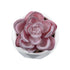 GloboStar® Artificial Garden SUCCULENT ECHEVERIA 21000 Διακοσμητικό Φυτό Παχύφυτο Εχεβέρια Υ7.5cm - ledmania.gr