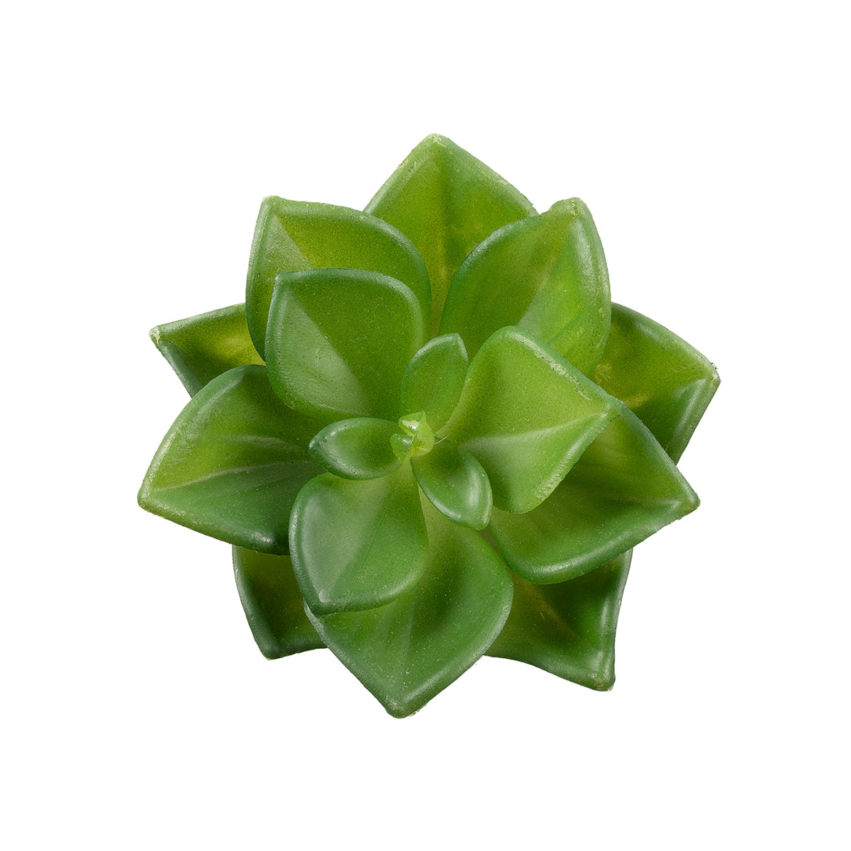 GloboStar® Artificial Garden SUCCULENT ECHEVERIA 21003 Διακοσμητικό Φυτό Παχύφυτο Εχεβέρια Υ8cm - ledmania.gr