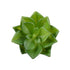 GloboStar® Artificial Garden SUCCULENT ECHEVERIA 21003 Διακοσμητικό Φυτό Παχύφυτο Εχεβέρια Υ8cm - ledmania.gr