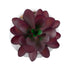 GloboStar® Artificial Garden SUCCULENT CRASSULA 21004 Διακοσμητικό Φυτό Παχύφυτο Κράσουλα Υ9.5cm - ledmania.gr