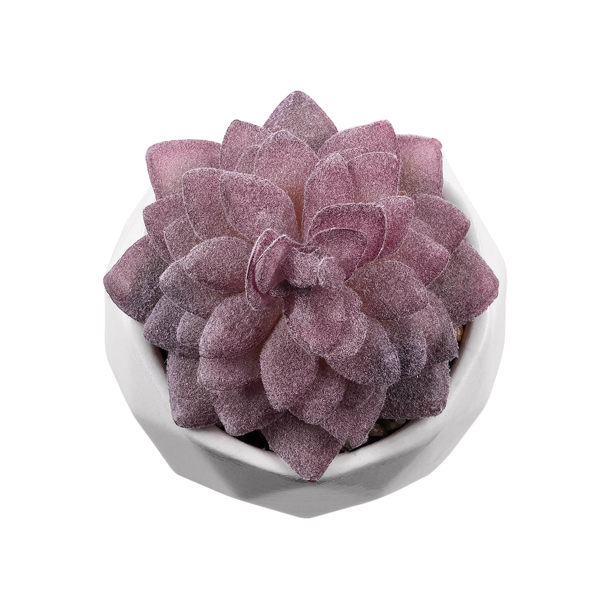 GloboStar® Artificial Garden SUCCULENT SEDEVERIA 21005 Διακοσμητικό Φυτό Παχύφυτο Σεντεβέρια Υ8cm - ledmania.gr