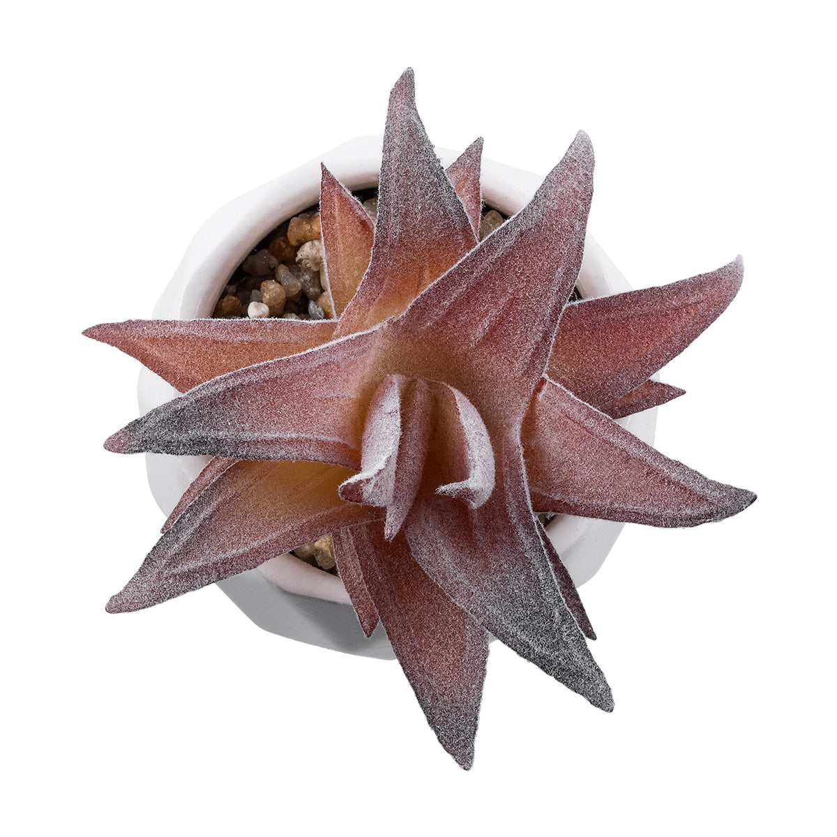 GloboStar® Artificial Garden SUCCULENT ALOE 21006 Διακοσμητικό Φυτό Παχύφυτο Αλόη Υ10cm - ledmania.gr