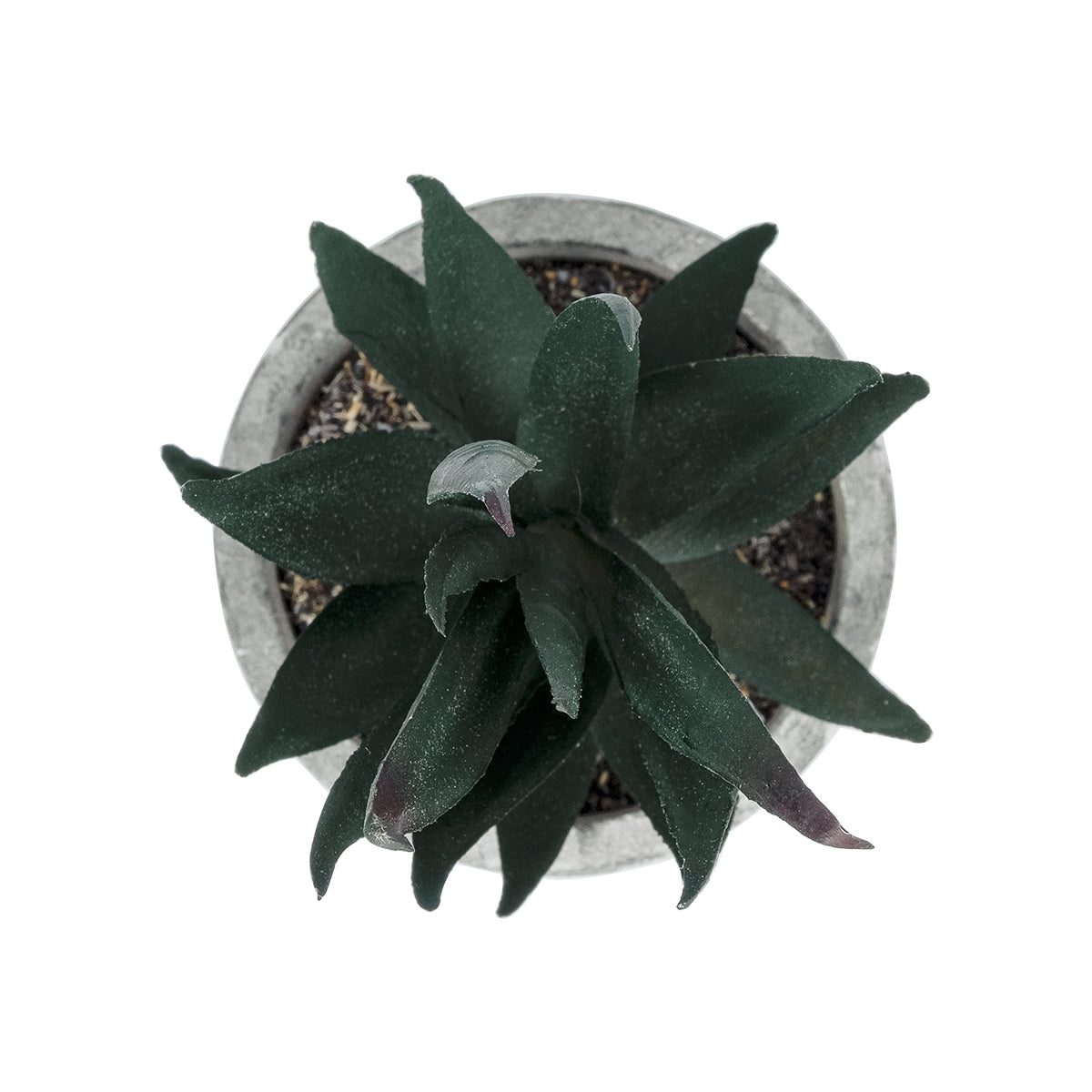 GloboStar® Artificial Garden SUCCULENT ALOE POTTED PLANT 21007 Διακοσμητικό Φυτό Αλόη  Φ7 x Υ14cm - ledmania.gr