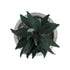 GloboStar® Artificial Garden SUCCULENT ALOE POTTED PLANT 21007 Διακοσμητικό Φυτό Αλόη  Φ7 x Υ14cm - ledmania.gr