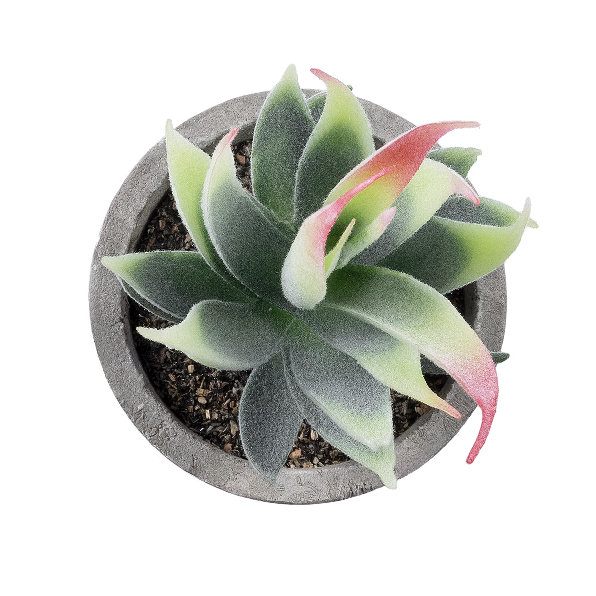 GloboStar® Artificial Garden SUCCULENT ALOE 21009 Διακοσμητικό Φυτό Παχύφυτο Αλόη Υ14cm - ledmania.gr