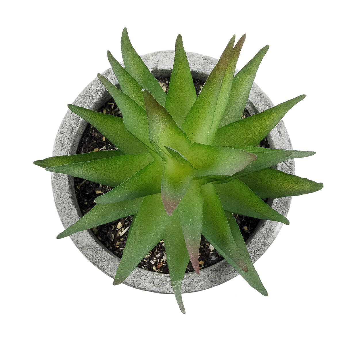 GloboStar® Artificial Garden SUCCULENT ALOE 21010 Διακοσμητικό Φυτό Παχύφυτο Αλόη Υ11cm - ledmania.gr