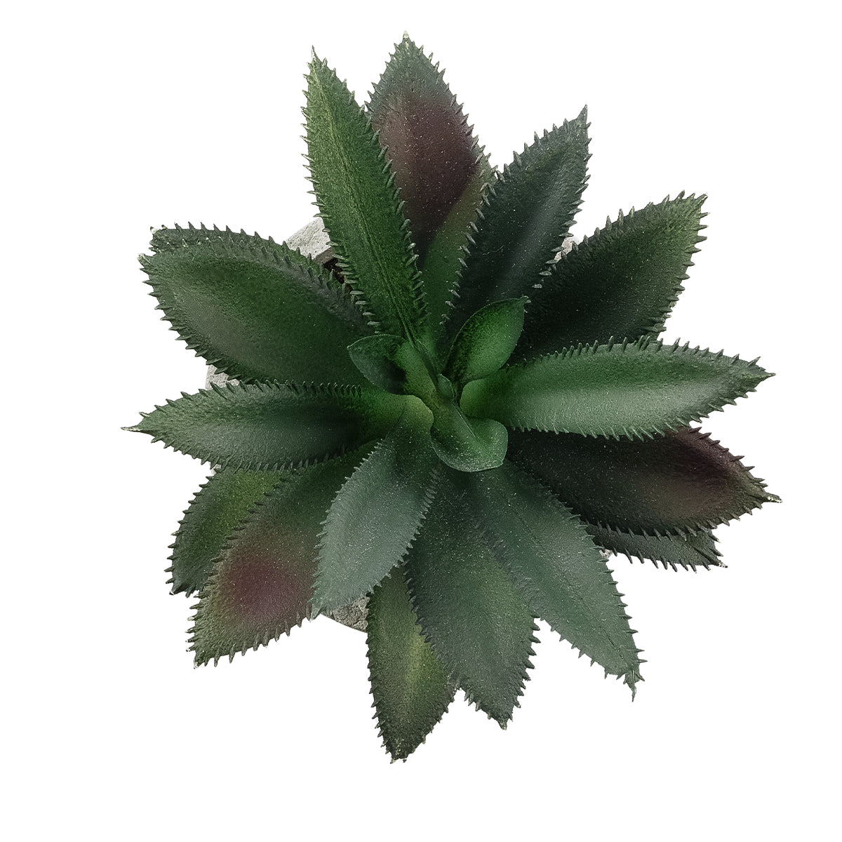 GloboStar® Artificial Garden SUCCULENT ALOE 21011 Διακοσμητικό Φυτό Παχύφυτο Αλόη Υ13cm - ledmania.gr