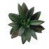 GloboStar® Artificial Garden SUCCULENT ALOE 21011 Διακοσμητικό Φυτό Παχύφυτο Αλόη Υ13cm - ledmania.gr