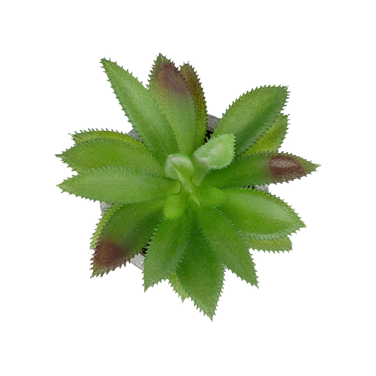 GloboStar® Artificial Garden SUCCULENT ALOE POTTED PLANT 21012 Διακοσμητικό Φυτό Αλόη  Φ9 x Υ13cm - ledmania.gr