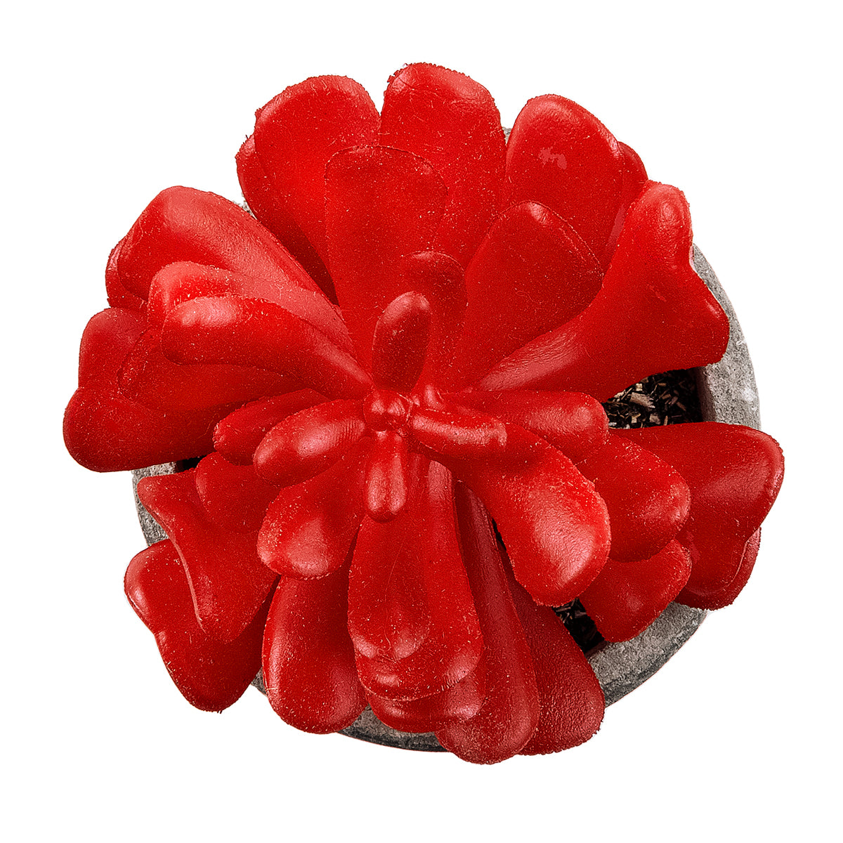 GloboStar® Artificial Garden SUCCULENT CRASSULA 21013 Διακοσμητικό Φυτό Παχύφυτο Κράσουλα Υ11.5cm - ledmania.gr