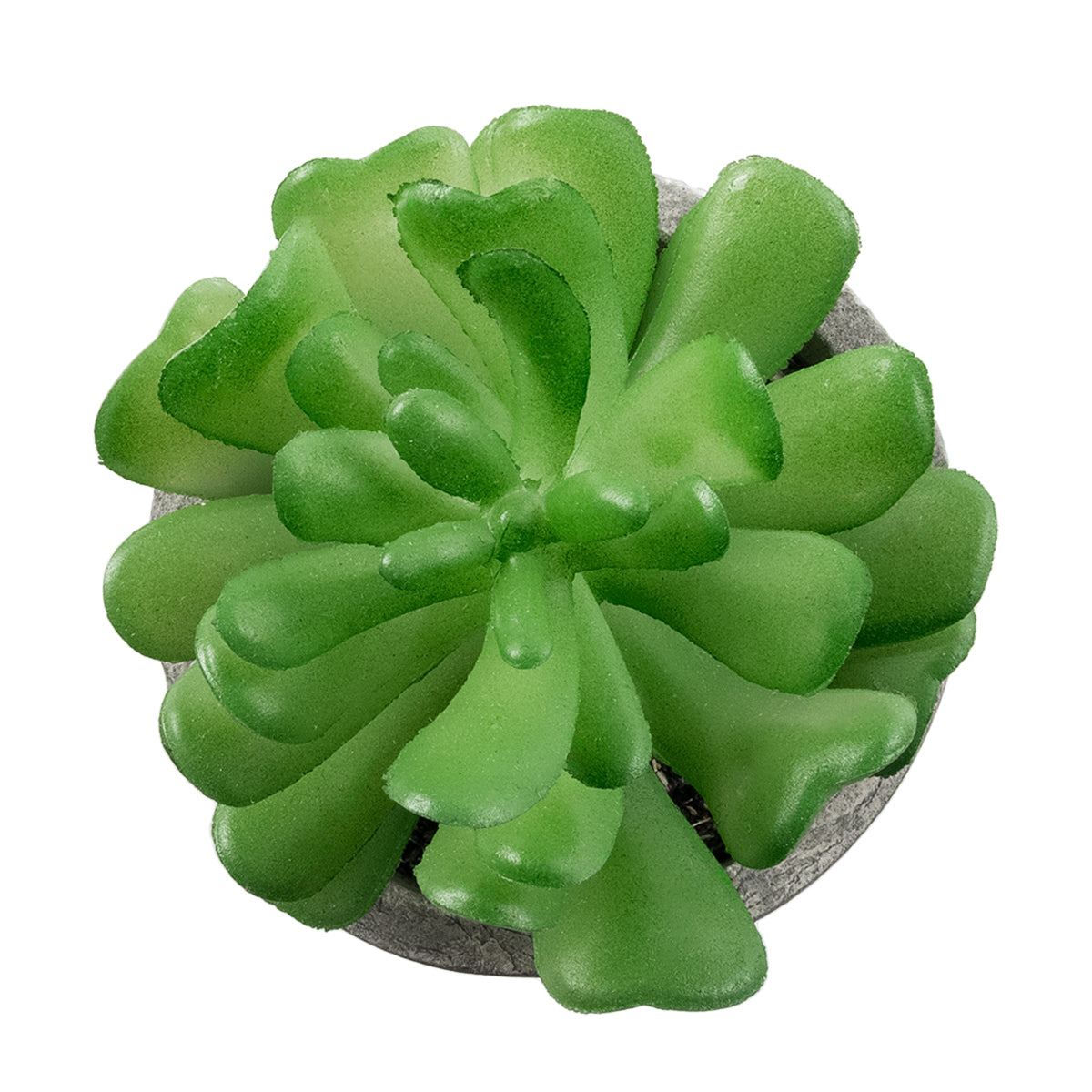 GloboStar® Artificial Garden SUCCULENT CRASSULA 21014 Διακοσμητικό Φυτό Παχύφυτο Κράσουλα Υ11.5cm - ledmania.gr