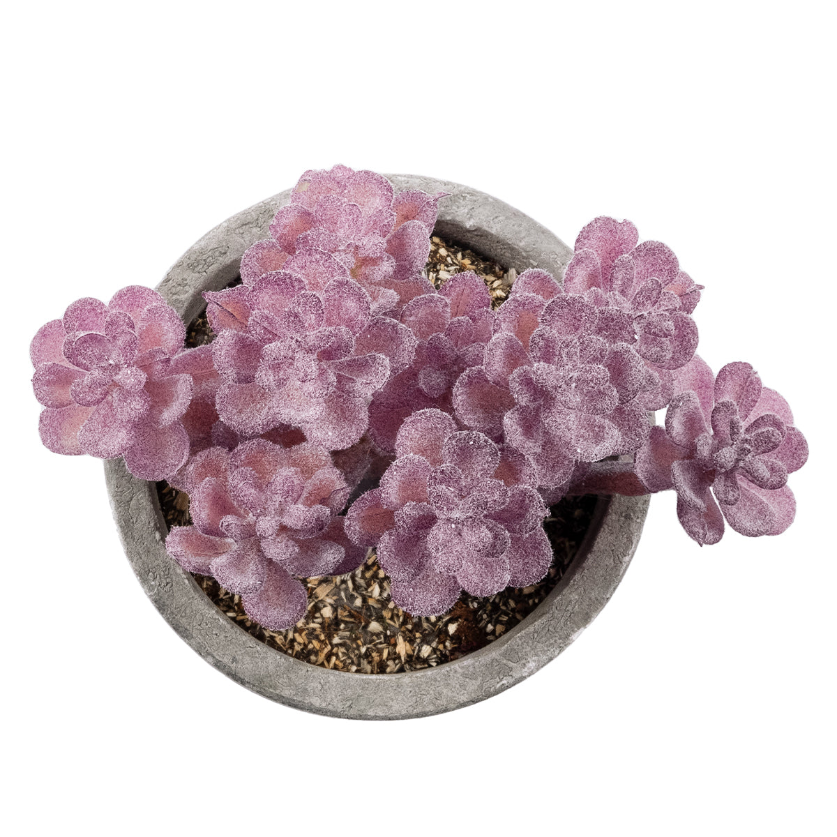 GloboStar® Artificial Garden SUCCULENT SEDUM 21017 Διακοσμητικό Φυτό Παχύφυτο Σέδο Υ10cm - ledmania.gr