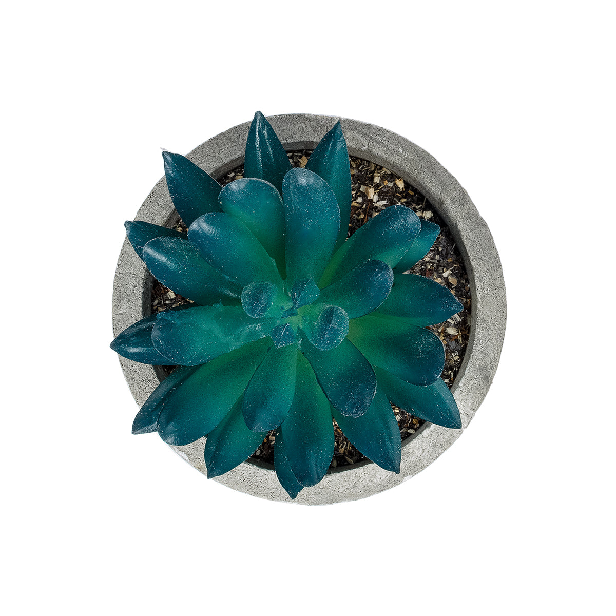 GloboStar® Artificial Garden SUCCULENT SEDEVERIA POTTED PLANT 21018 Διακοσμητικό Φυτό Σεδεβέρια  Φ6,5 x Υ9cm - ledmania.gr
